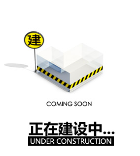 建设中...
